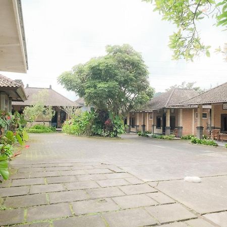 Pelangi Homestay Bedugul Redpartner Buitenkant foto