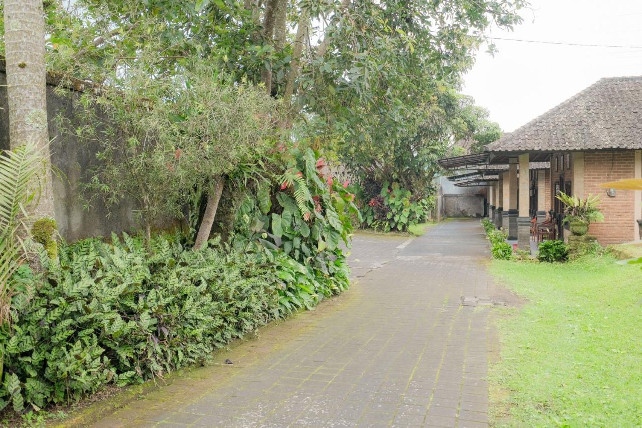 Pelangi Homestay Bedugul Redpartner Buitenkant foto